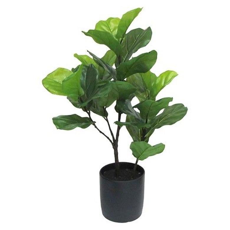 Faux Fiddle Leaf FIg