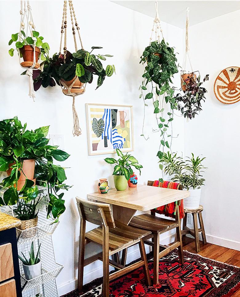 plants in kitchen dining nook