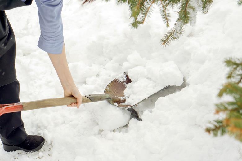 Closeup woman using shovel scoop.