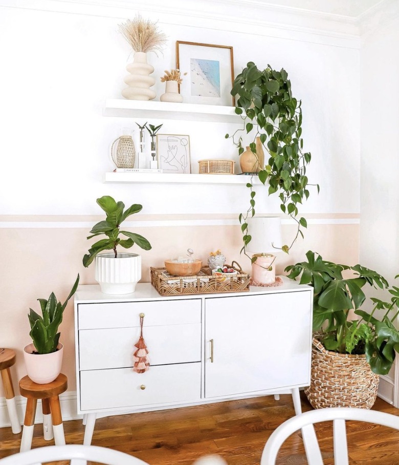 Pink accent wall with white floating shelves, hanging plants and white cabinet.