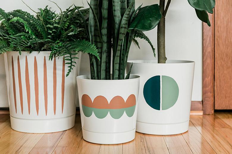 Take a white planter from 'plain' to 'Pinterest-worthy' using paint!