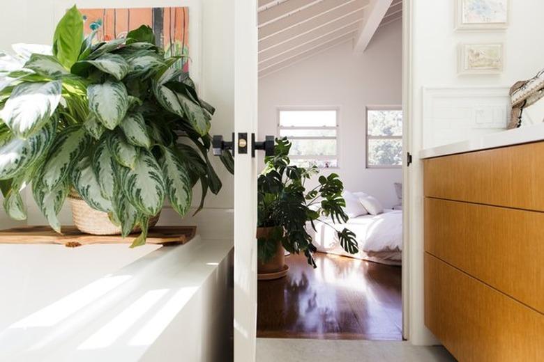 bathroom decor idea with greenery and wood vanity cabinet with white countertop