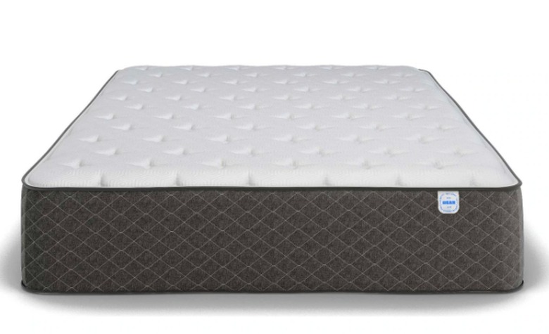 Bear Hybrid Queen Mattress, $1,299