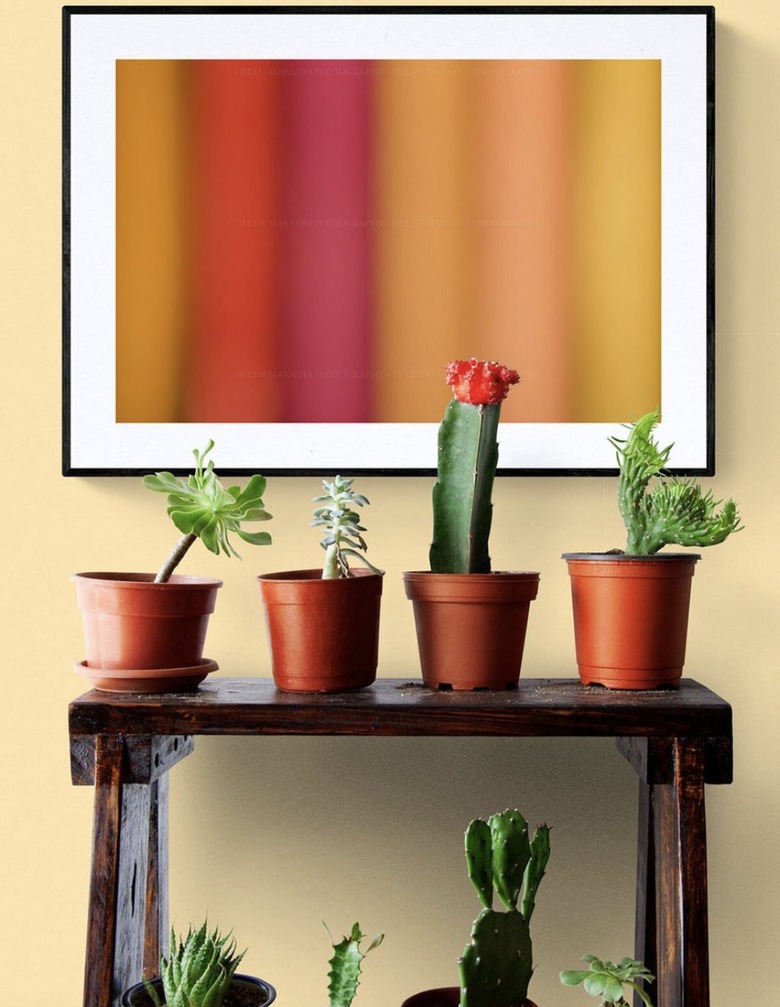 Cacti with vibrant wall art