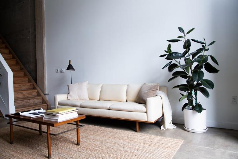 mid-century loft living room with rubber plant and white couch