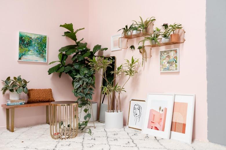 Plants in room with pink walls and artwork