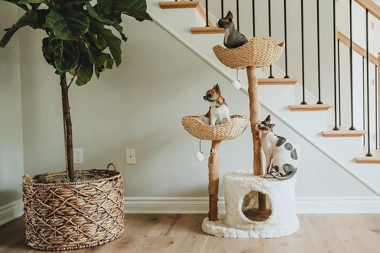 modern cat tree