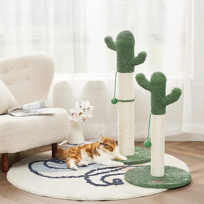 cactus cat scratcher