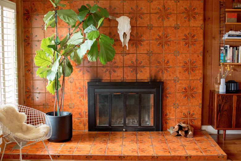 Orange tiled fireplace with large fiddle leaf fig tree