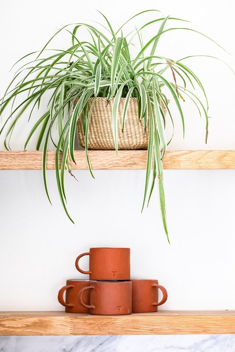 Terra-cotta mugs on a wood shelf and a plant in a wicker basket