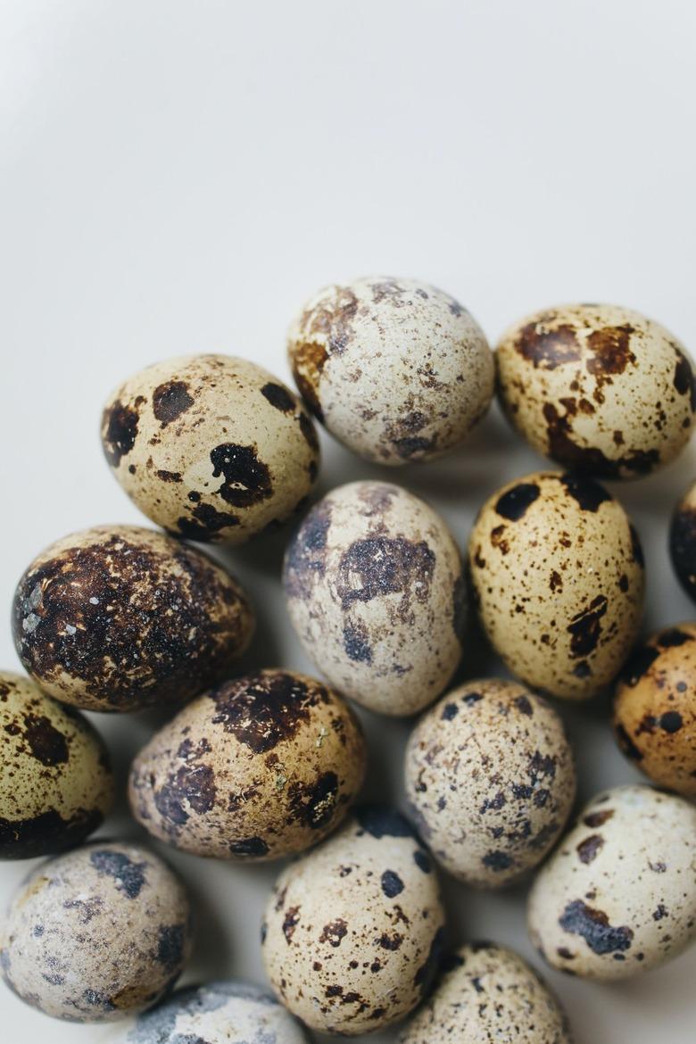 Quail eggs on a white background