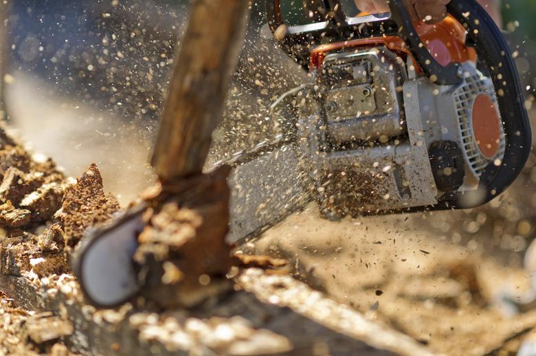 Working with chainsaw in spalshes of wooden chips