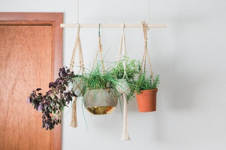 Plant hanger using a dowel