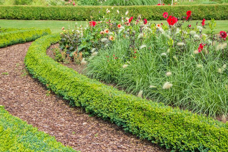 Garden path with bark mulch