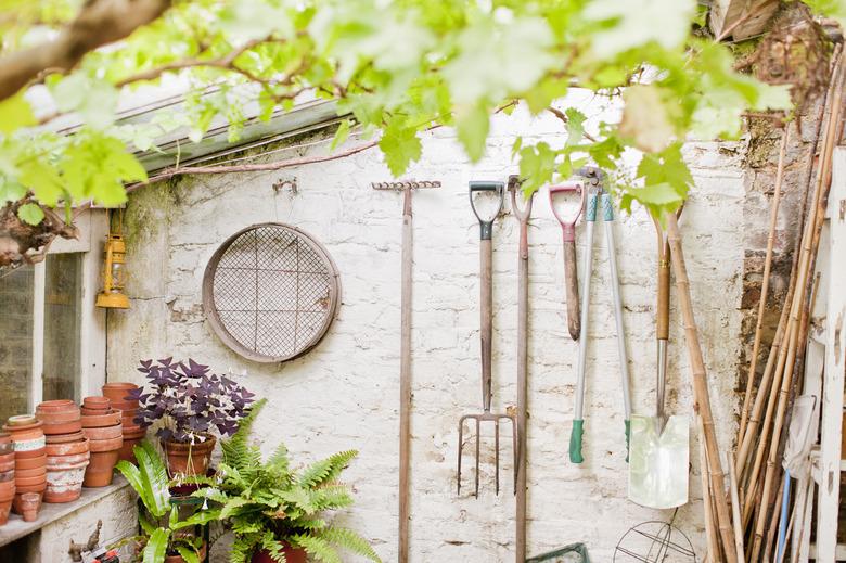 Tools hanging on wall of garden shed.