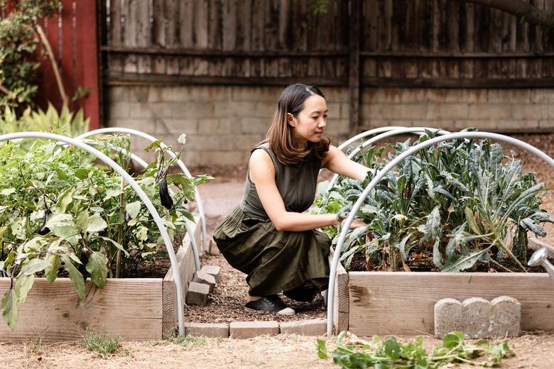 Woman tending to a garden outdoors