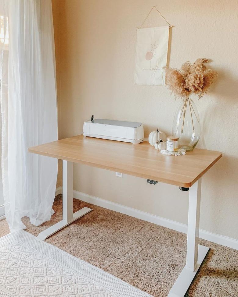 FlexiSpot standing desk