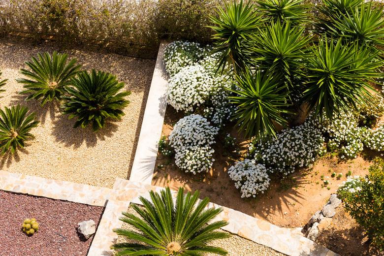 Landscape design with palm trees and flowers. Top view of the modern garden design with a terrace.