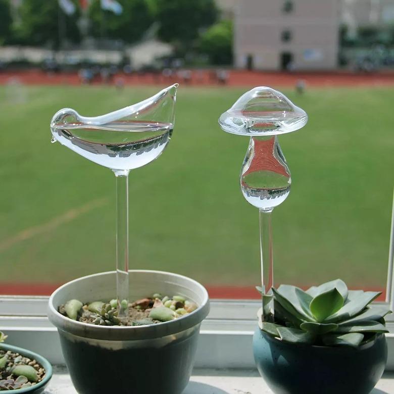 plant watering globes