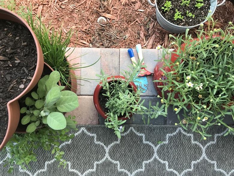 Patio container garden