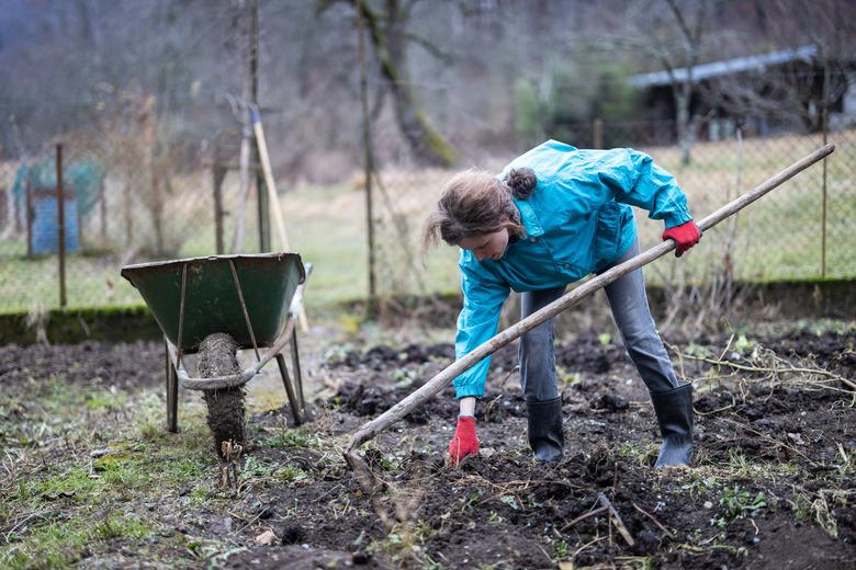 Mid Adult Woman Preparing Vegetable Garden in the Beginning of Springtime