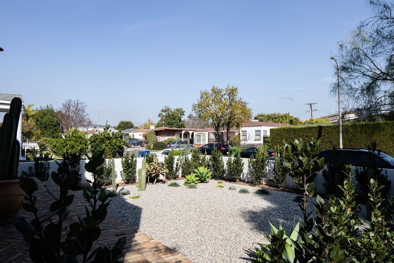 Garden with green plants and gravel