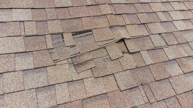 damaged roof shingles