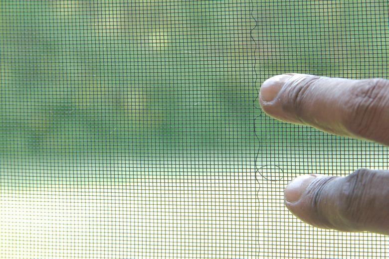 Window screen with damage.