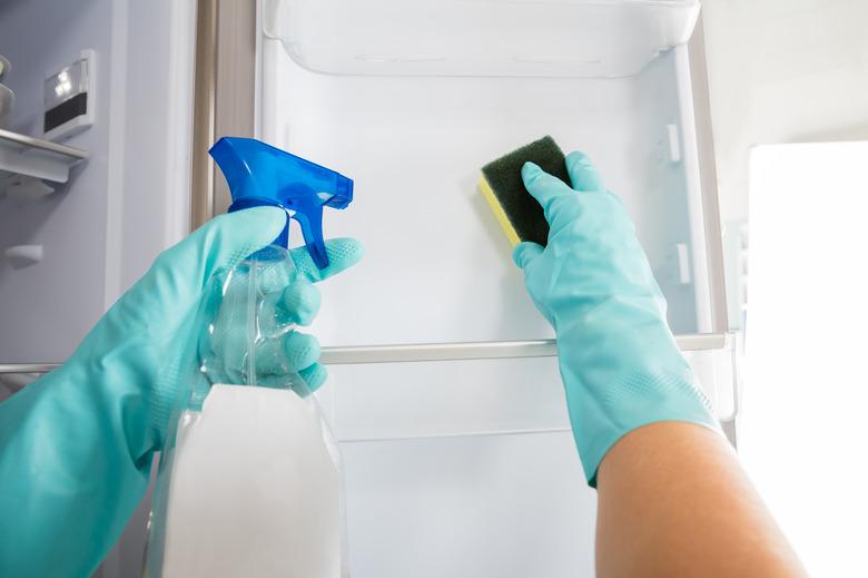 Close-up Of Person Hand Cleaning Refrigerator