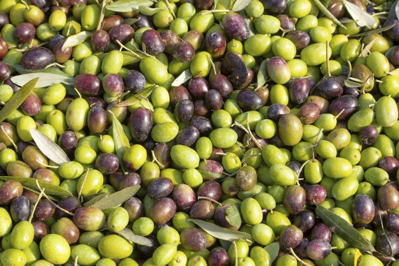 olives