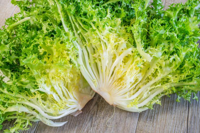 curly salad rotating on white background