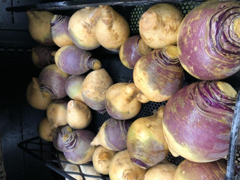 Rutabaga