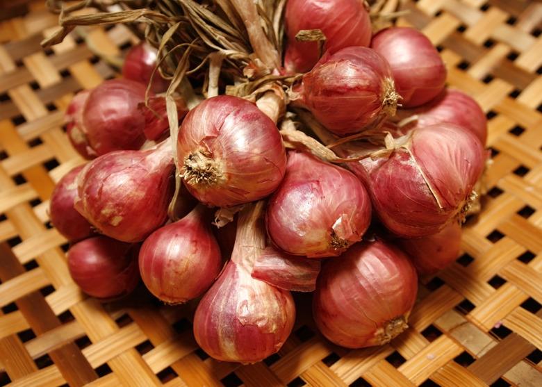 Shallots in basket.