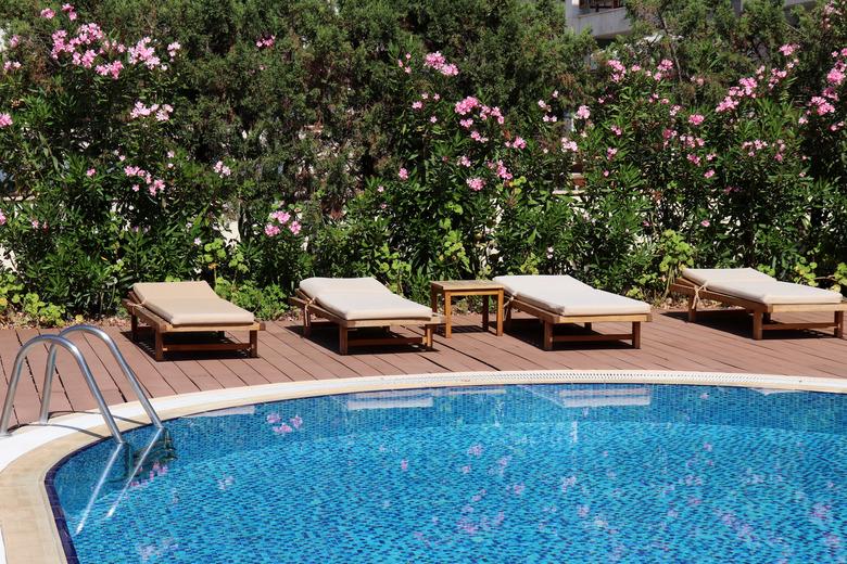 Swimming pool and deck chairs bordered by a tropical garden with oleander flowers.