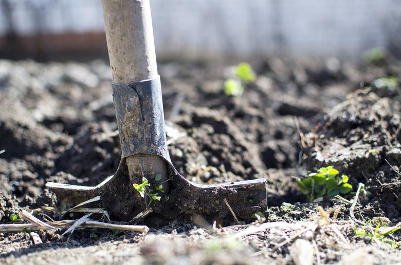 Breaking ground for a pool pad.