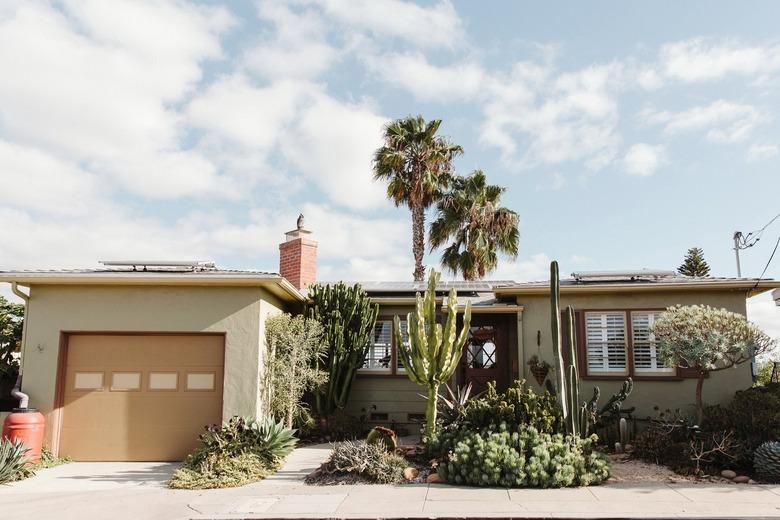 mid-century home with palm trees, minimalist flower bed with cactus and other green plants