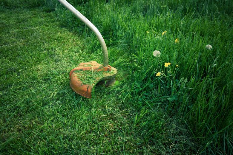 Electric grass cutter trimming the lawn