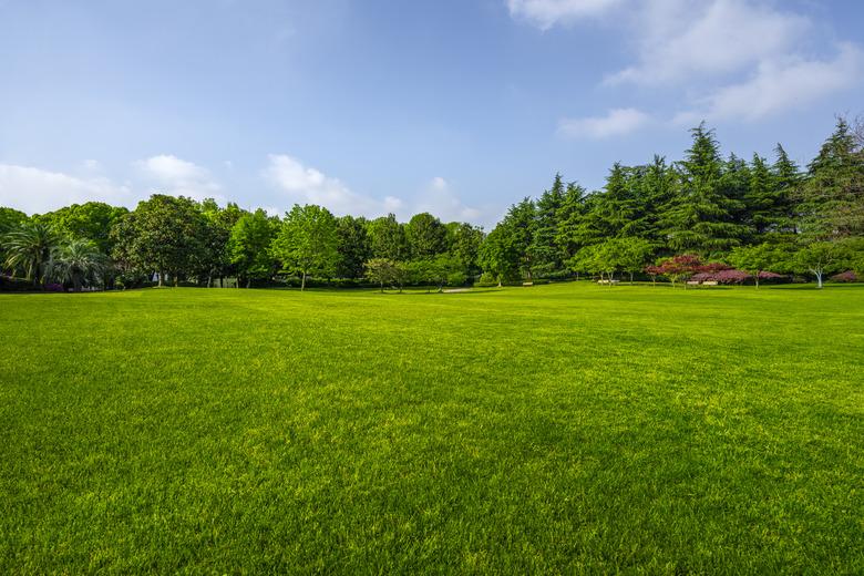 Green grassland and blue sky