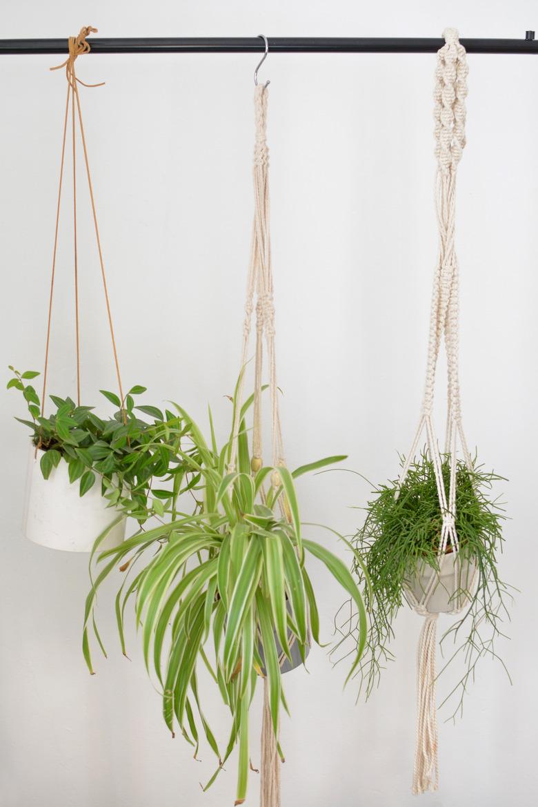 How to Style Plants