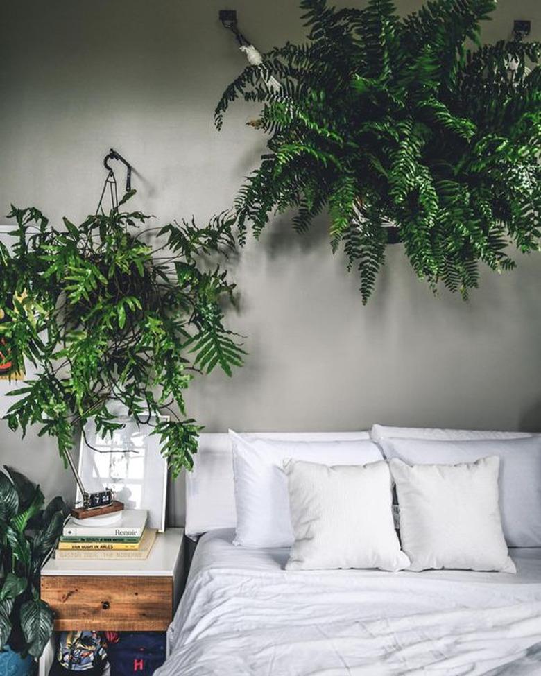 bedroom with lush greenery and gray walls