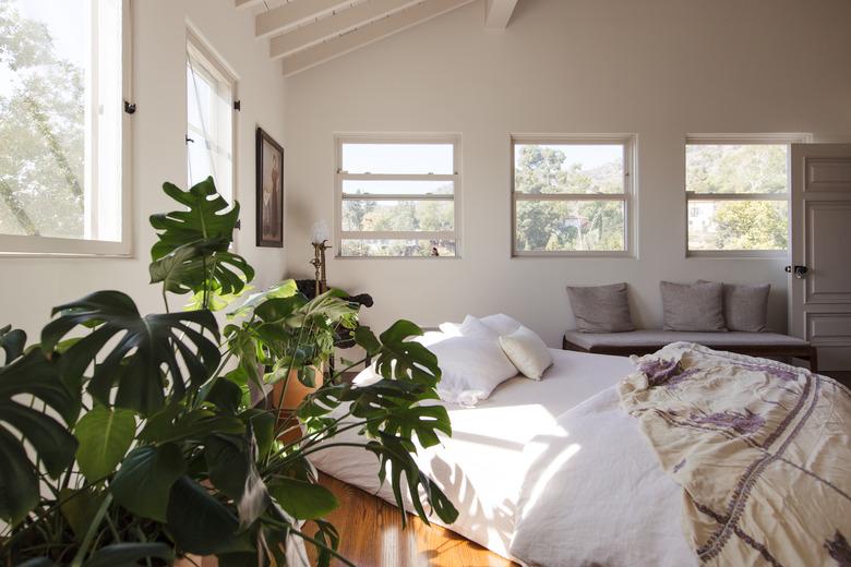 Plant in boho, earthy bedroom