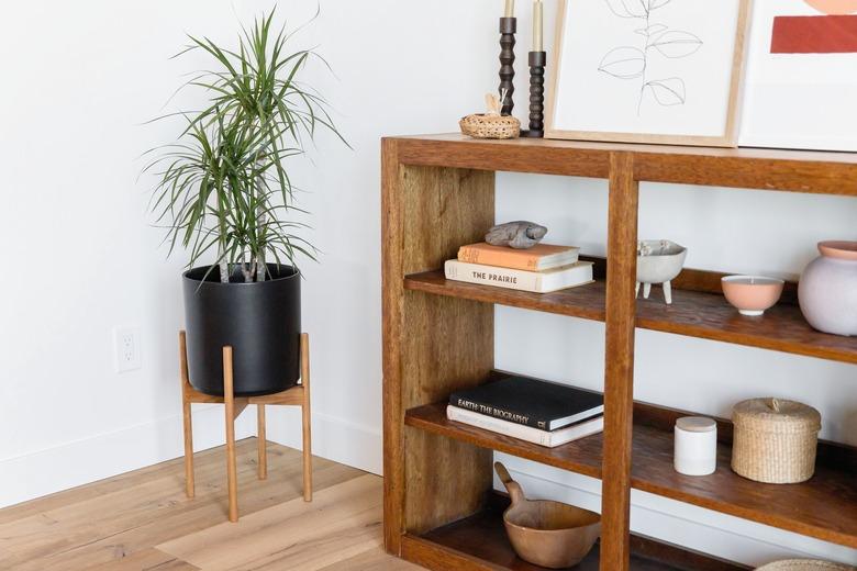 Modern planter with plant next to bookshelf