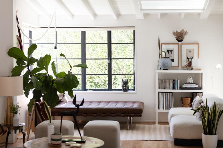 Fiddle leaf fig indoor plant idea in white modern living room