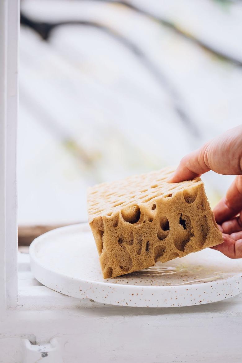 Hand holding natural sponge