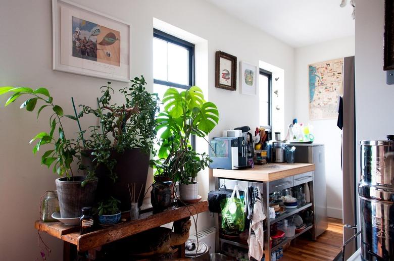 A wood side table with houseplants. A small kitchen storage with a wood counter and appliances. Eclectic wall art.