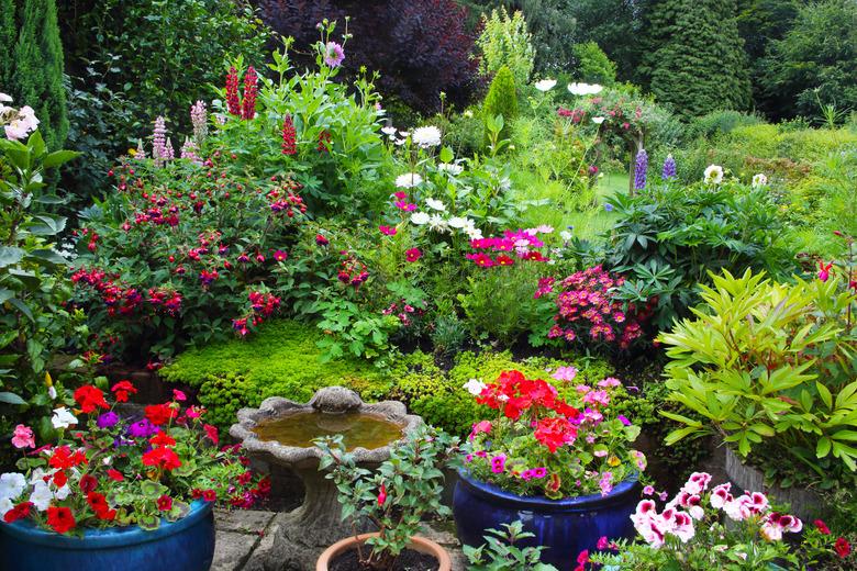 Brightly coloured summer flowers in patio pots & flowerbed.