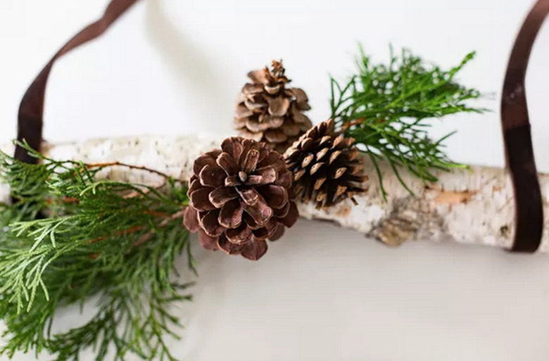 Earthy Branch and Pine Cone Hanging