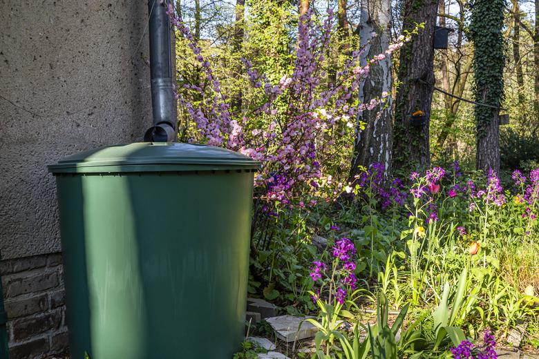 rain barrel with flowers in a garden in spring