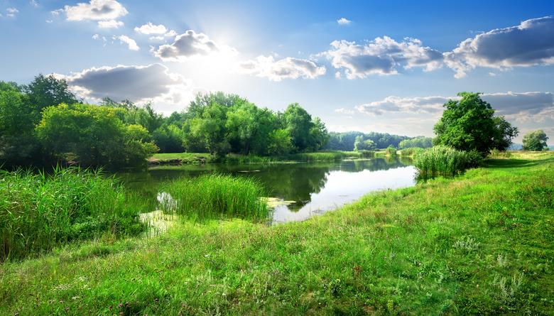 River landscape