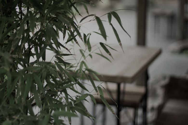 Bamboo furniture and overhanging bamboo plant.